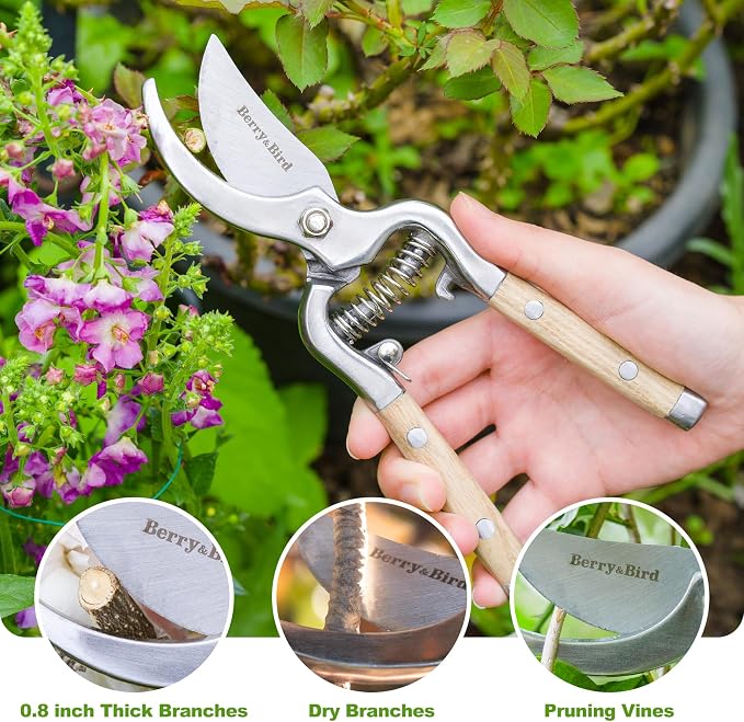 Berry&Bird 8'' Bypass Pruning Shears with Wooden Handle, Curved Blade Garden Hand Pruner, Stainless Steel Scissors Ultra Sharp Clippers for Gardening Trimming Cutting Bonsai Plant Flower & Picking