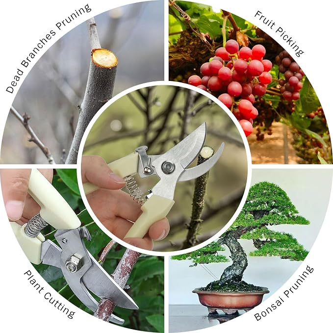 2Pcs Professional Pruning Shears (Include 1 Bypass Pruning Shears and 1 Straight Blade Garden Scissors) Premium Garden Shears for Trimming Flowers, Shaping Plants, Bonsai,hydroponics,herbs