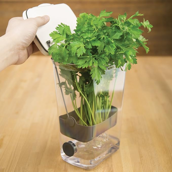 ProKeeper Herb Keeper with Removable Silicone Drain Plug, BPA-Free Plastic | Stores 1 to 3 Bunches Of Herbs Or Keeps Asparagus Hydrated, Removable Basket for Easy Access and Drainage, Dishwasher Safe