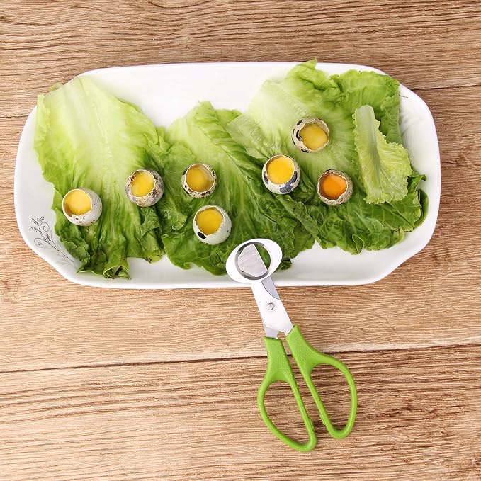 Calary 3Pcs Quail Egg Cutter Scissors Kitchen Egg Shears Tool (Green)