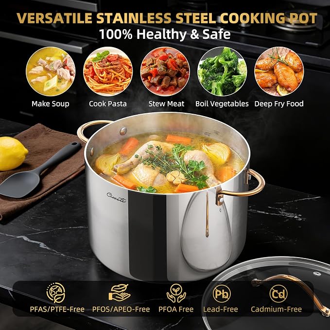Ciwete 12 Quart Stock Pot with Lid, Upgraded Tri-Ply Stainless Steel Pot, Seamless Large Cooking Pot with Stay-Cool Brass Handle, Healthy Polished Stockpots, Induction Cookware, Oven & Dishwasher Safe