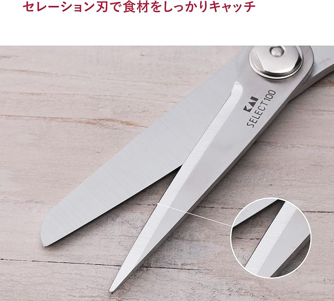 Kitchen Scissors (DH-3005)