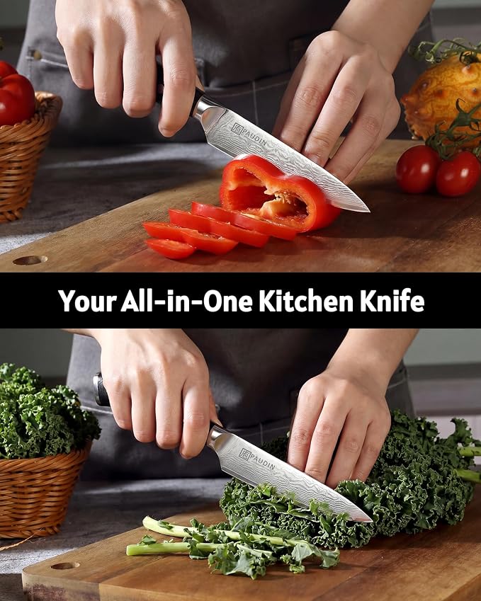 PAUDIN Utility Knife 5'', 67-Layer Forged Damascus Kitchen Knives | Ultra Sharp Petty Knife, Paring Knives for Cutting Fruit and Vegetables, Full Tang G10 Handle with Triple Rivets