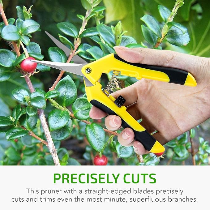 iPower 6.5 Inch Gardening Scissors Hand Pruner Pruning Shear with Straight Stainless Steel Blades, Yellow, 1-Pack