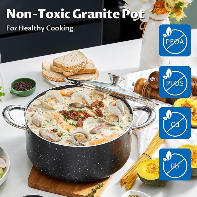 BEZIA 10 Quart Nonstick Stock Pot with Lid, Large Induction Cooking Pot | Oven & Dishwasher Safe, Works on All Stoves, for Hosting Holiday Gatherings, Blanching Bulk Veggies, Multi-portion Curries