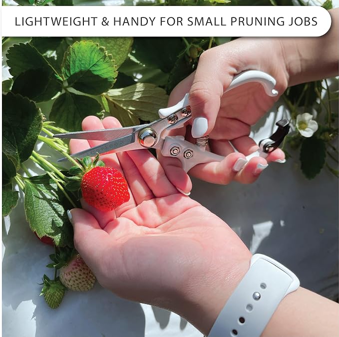 Precision Plant Pruning Shears - Straight Blade, White | Ergonomic garden trimming scissors with sharp tapered tip for bonsai, herbs, and flowers