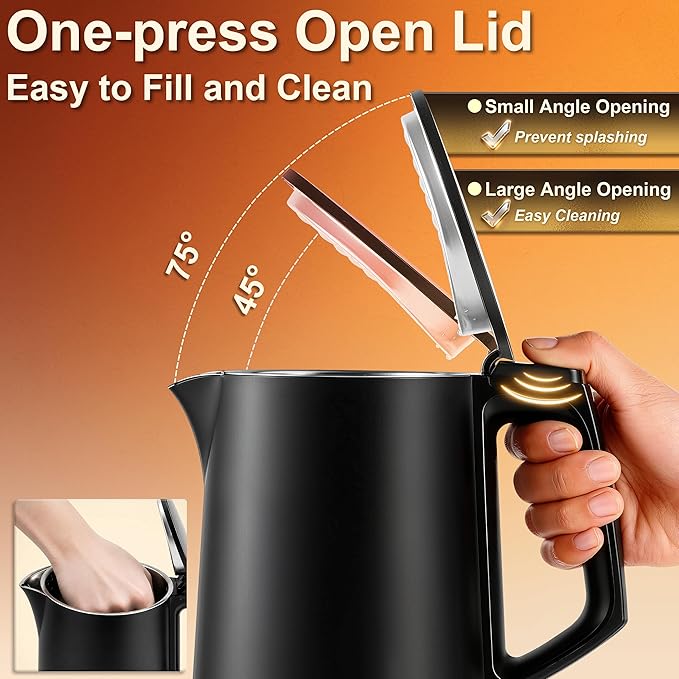 Dezin 0.8L Small Electric Kettle, Stainless Steel Portable Travel Kettle | Double Wall Construction, Auto Shut-Off, 800W Fast Boiling, Compact Tea Kettle for Business Trip, Home, Office, Hotel, Dorm