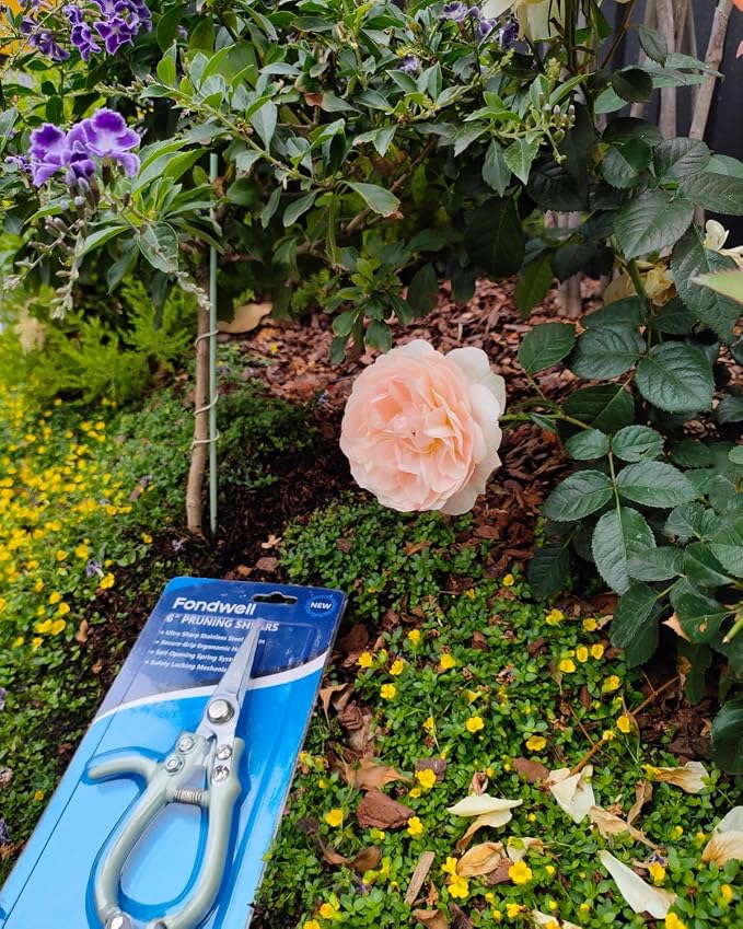Fondwell 6" Small Pruning Shears Garden Scissors for Indoor Plants Trimming | 1-Pack Garden Snips, Ultra-Sharp Micro-Tip Straight Blades, Fatigue-Free - Best for Delicate Cutting Flower Stems Herbs Buds