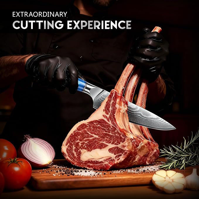 Damascus High Carbon Chefs Knife Ergonomic Handle(8In,BlueResin) | Japanese 67 Layers High Carbon Steel, Professional High-Class Ultra Sharp Cooking Knives Family & Restaurant, Gift Box