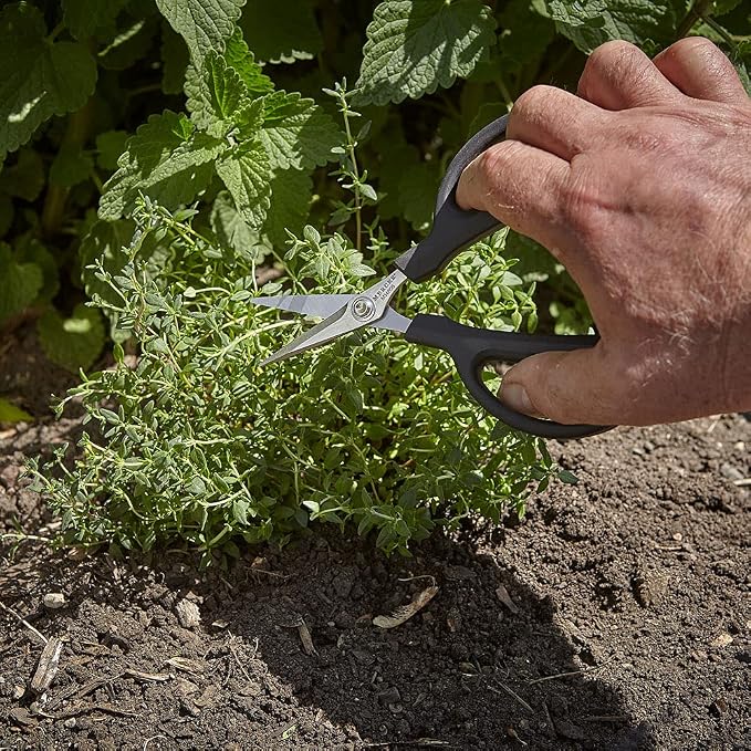 Mercer Culinary Herb Snips, 6 1/2-Inch