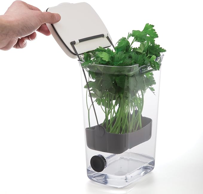 ProKeeper Herb Keeper with Removable Silicone Drain Plug, BPA-Free Plastic | Stores 1 to 3 Bunches Of Herbs Or Keeps Asparagus Hydrated, Removable Basket for Easy Access and Drainage, Dishwasher Safe