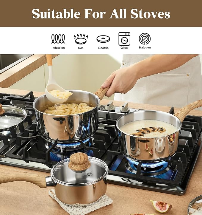 KOCH SYSTEME CS Stainless Steel Saucepan, 1 Quart Stainless Steel Pot with 5-Layer Stainless Base, Sauce Pan with Lid & Stay-Cool Handle, Small Pot 1 Quart, Induction Compatible