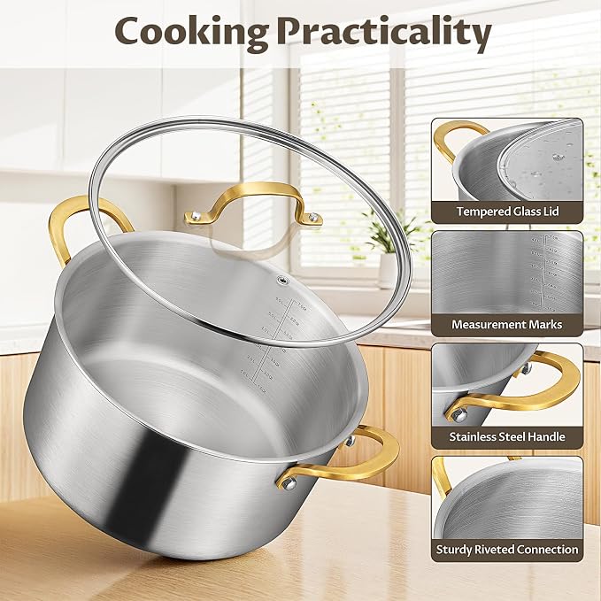 BEZIA 6 QT Stock Pot with Lid, Full Clad 3-Ply Stainless Steel Cooking Pot | Uncoated & Built to Last Induction Pot, for All Stovetops, for Daily Soups & Curries, Blanching & Boiling, Pasta & Dumplings