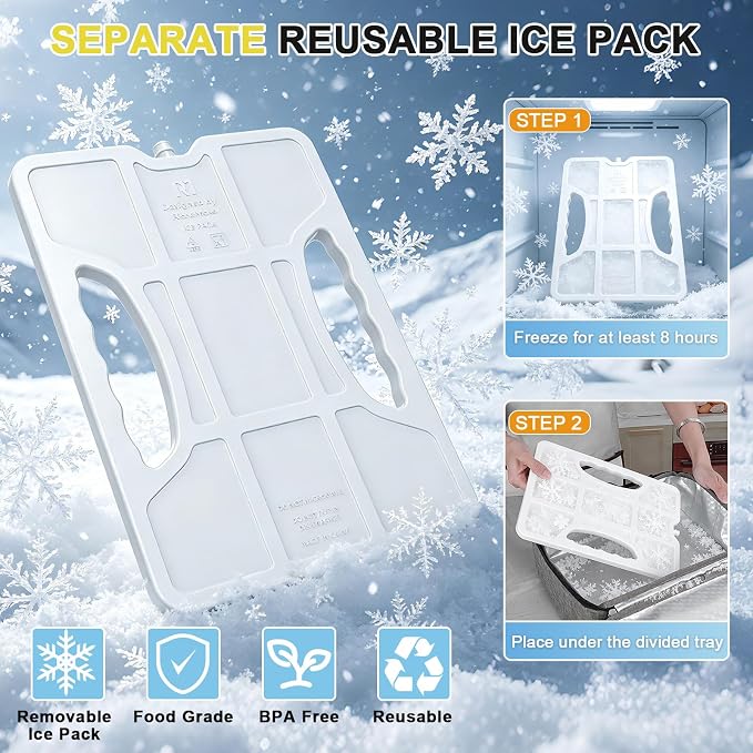 Snackle Box Container with Ice Pack & Insulated Bag - Chilled Snack Tray for Veggie Fruit Snack, Portable Divided Charcuterie with Leak-Proof Clear Lid, Dishwasher Safe, 6+Hrs Cooling