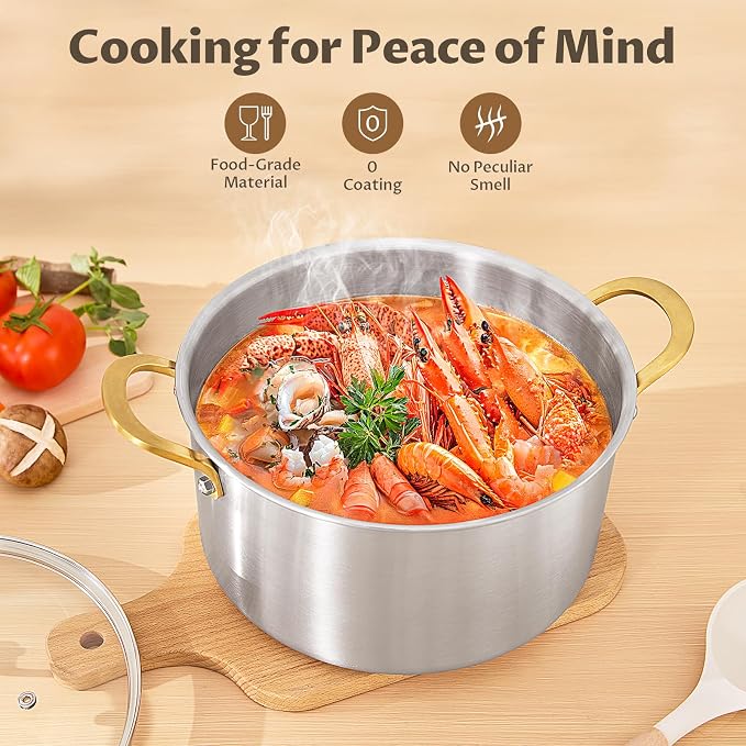 BEZIA 6 QT Stock Pot with Lid, Full Clad 3-Ply Stainless Steel Cooking Pot | Uncoated & Built to Last Induction Pot, for All Stovetops, for Daily Soups & Curries, Blanching & Boiling, Pasta & Dumplings