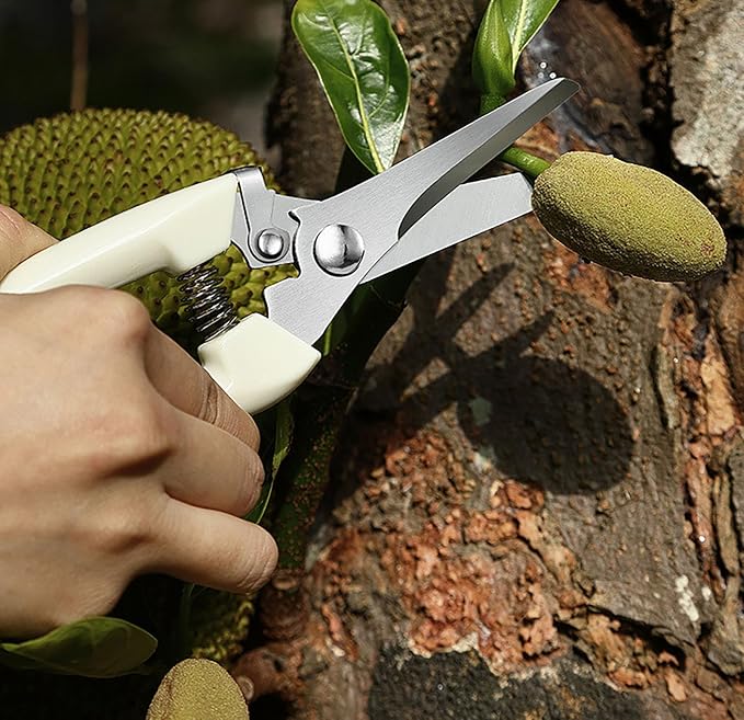 Garden Flower Shears Pruning Shears 6.9 inches Straight and Bypass Scissors Heavy Duty Plant Scissors for Cutting Flowers, Trimming Plants, Bonsai, Fruits Picking (White handle Straight and Bypass)
