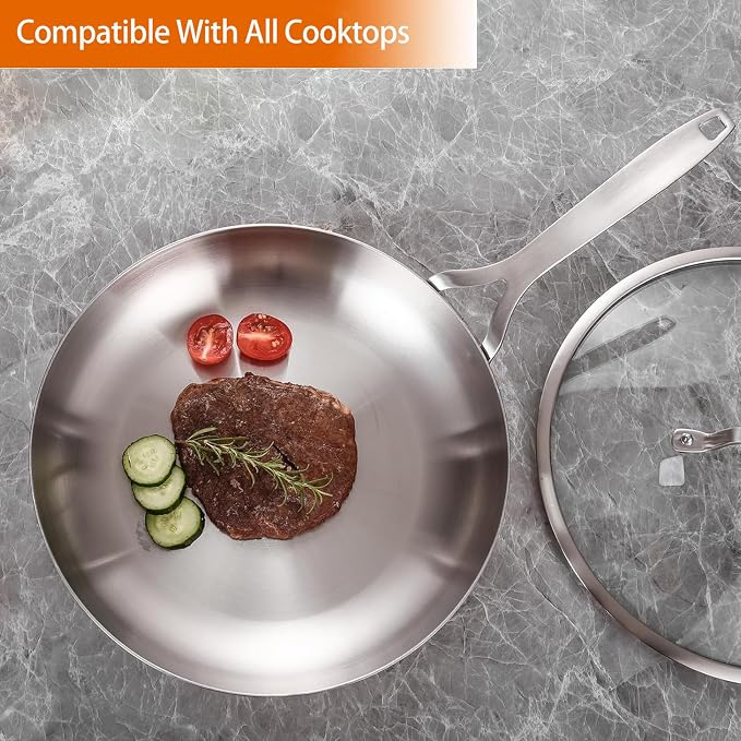 DELARLO Tri-Ply Stainless Steel Frying Pan 10" With Lid Kitchen Skillet | Stainless Steel Pan Cooking Heat fast and evenly Compatible with All Cooktops Dishwasher and Oven Safe