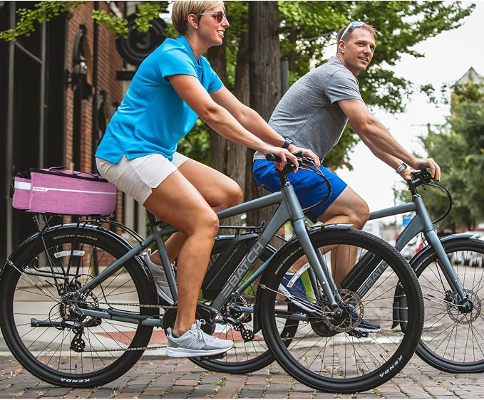 RAYMACE Bike Rear Rack Bag, Bike Trunk Cooler Bag | Bicycle Pannier for Warm or Cold Items (Violet)