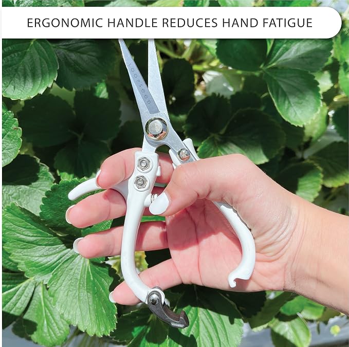 Precision Plant Pruning Shears - Straight Blade, White | Ergonomic garden trimming scissors with sharp tapered tip for bonsai, herbs, and flowers