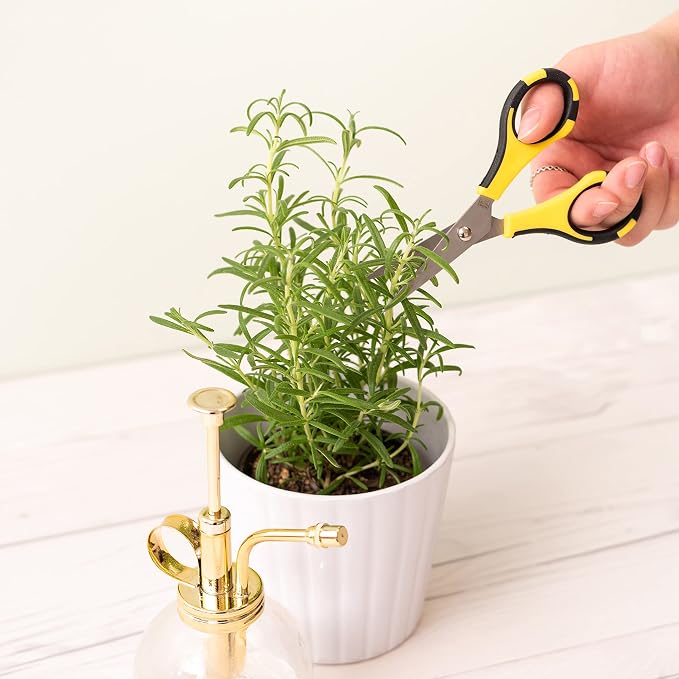 EK Tools Cutter Bee Precision Craft Scissors - Small Ergonomic Scissors with Micro Tip for Cutting Paper, Herbs, and More - Stainless Steel Blades, Yellow and Black