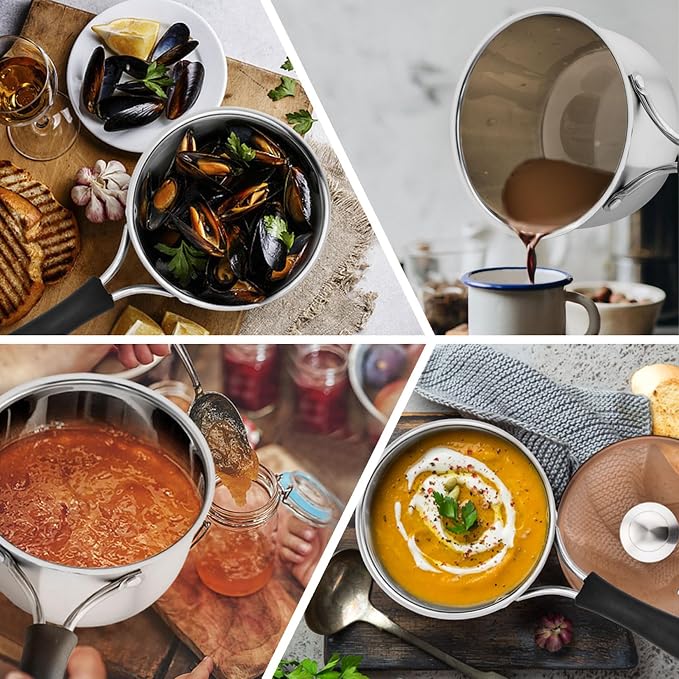 P&P CHEF 2 Quart Sauce Pan With Lid, Small Pot Saucepan for Milk, 1 Pc | Stainless Steel Saucepan, Small Sauce Pot for Cooking, Visible Glass Lid & Bakelite Heat-Proof Handles,Dishwasher Safe