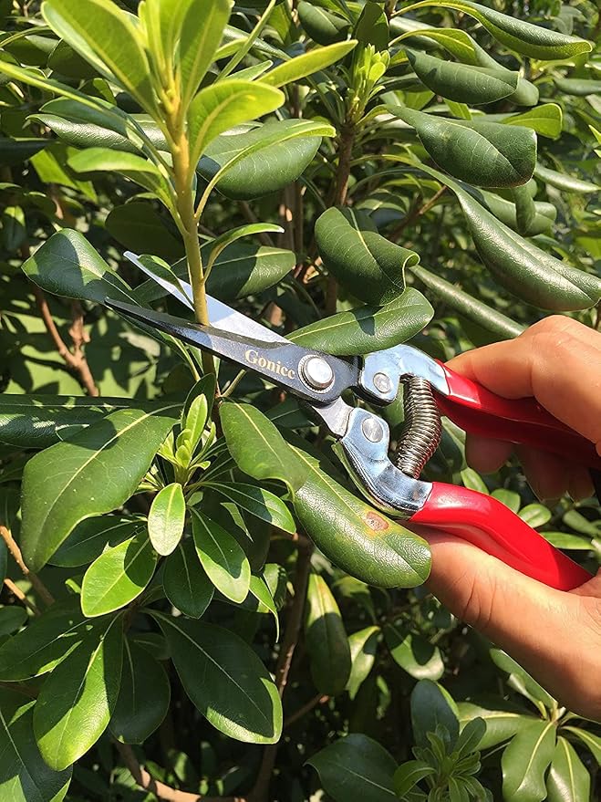 gonicc Micro-Tip Pruning Snips(GPPS-1008), Stainless Steel Garden Shears | Sharp micro-tip stainless steel blades make clean precise cuts for plants, flowers and herbs. Ergonomic non-slip handle.