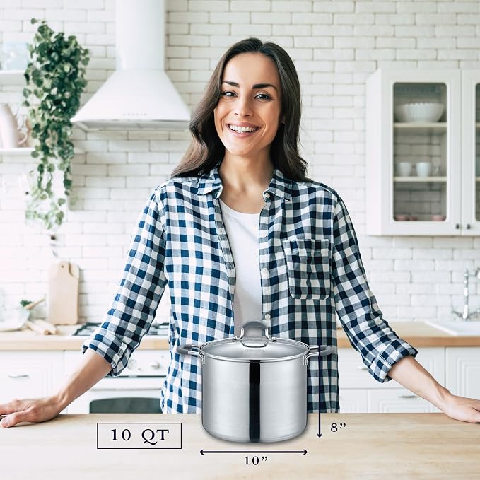 CONCORD Stainless Steel Stock Pot with Glass Lid (Induction Compatible) ((10 QT)