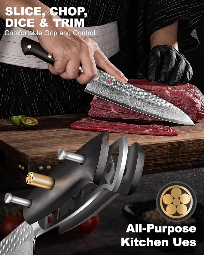 Japanese Chef Knife Kitchen Knife with 67 Layers Damascus Steel AUS-10 Core, Professional Damascus Knife with Full-Tang Ebony Wood Handle and Premium Gift Box (8.27 Inch Gyuto Chef Knife)