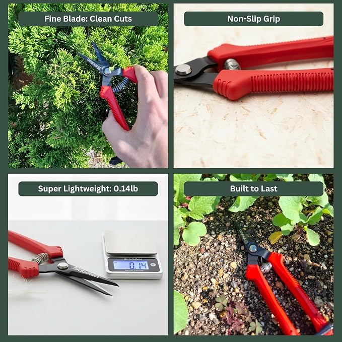 Saboten SD-8 6.7" Japanese Garden Pruning Shears, Lightweight Stainless Steel Trimming Scissors for Vegetables, Flowers & Fruit Harvesting, DIY, forest Originals, Made in Japan