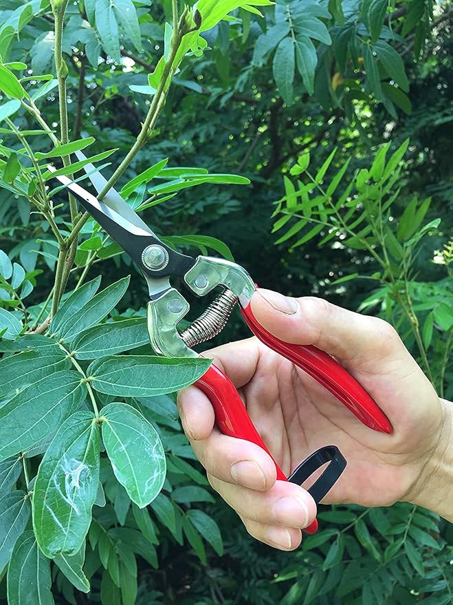 gonicc Micro-Tip Pruning Snips(GPPS-1008), Stainless Steel Garden Shears | Sharp micro-tip stainless steel blades make clean precise cuts for plants, flowers and herbs. Ergonomic non-slip handle.