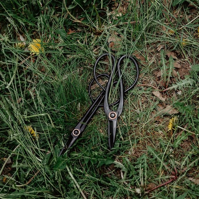 Barebones Artisan Pruning Shears - Gardening Shears and Herb Scissors - Essential Gardening Tools for Herb Gardens and Planting - Rust-resistant Garden Clippers