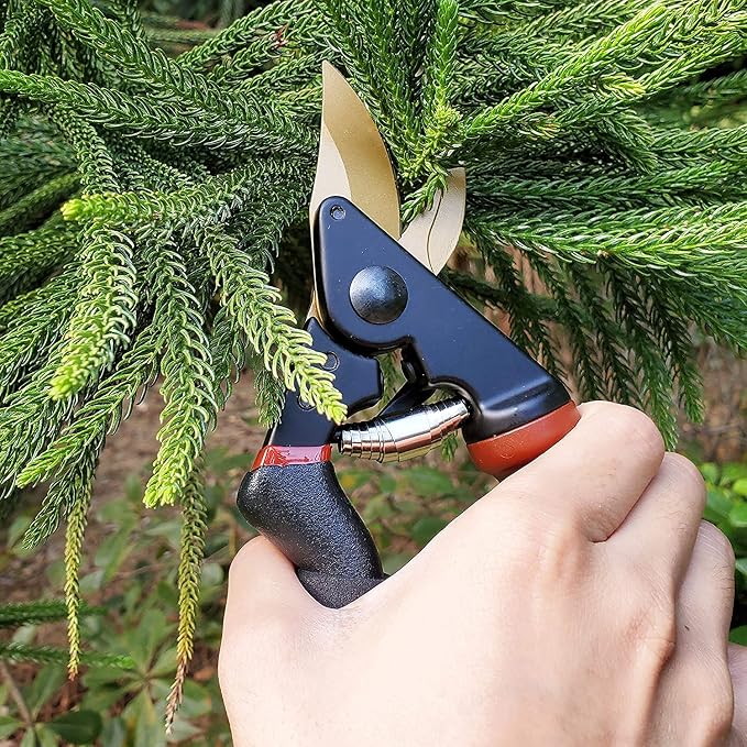 gonicc 8.5" Professional Rotating Bypass Titanium Pruning Shears(GPPS-1014) | Secateurs, Scissors, Pruners with Heavy Duty SK5 Blade. Soft Cushion Grip Handle for Everyone.
