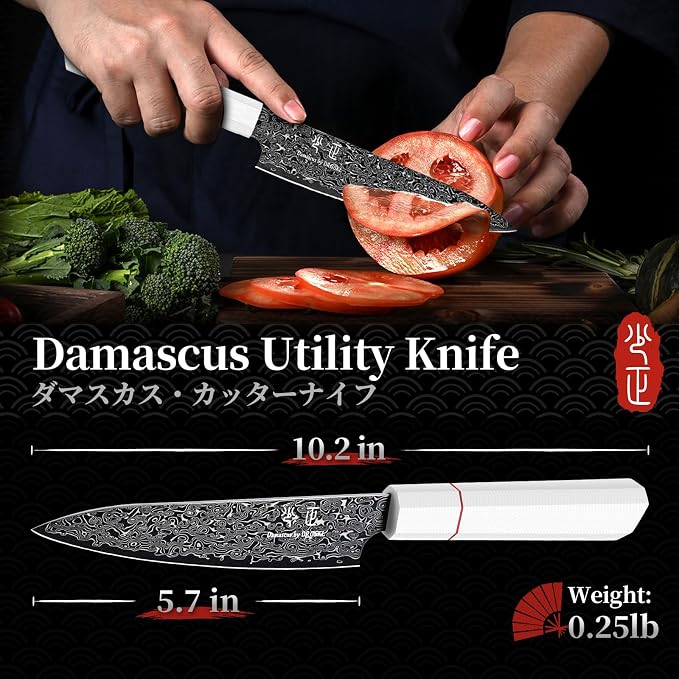 DRGSKL Damascus Kitchen Utility Knife - Japanese VG10 Chef Knife 6 inch | Japanese VG10 Core, Black Anti-corrosion Coating, Damascus Blade, G10 Handle, Gift Box, Wet Edge Grinding Technology