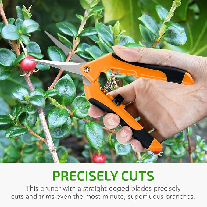 iPower GLPRNR6OR 6.5 Inch Gardening Pruning Shears Hand Scissors with Straight Stainless Steel Blades for Trimming Herbs, Plants, Hydroponic, 1-Pack, Orange