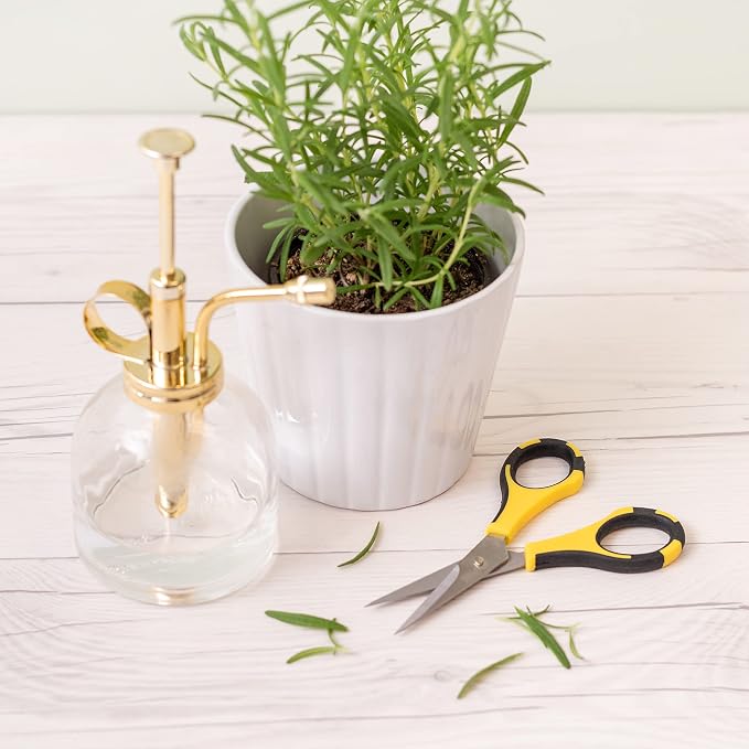 American Crafts Cutter Bee Herb Scissors 4/Pkg-Yellow/Black