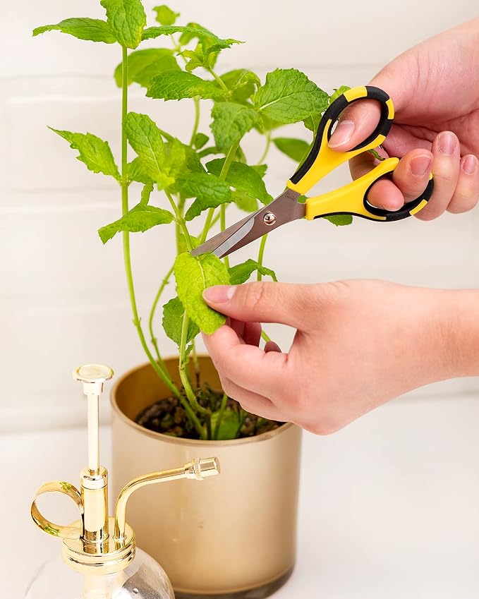 American Crafts Cutter Bee Herb Scissors 4/Pkg-Yellow/Black
