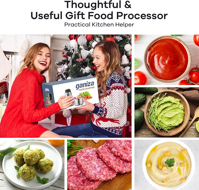 Ganiza Food Processors with 2 Bowls, 450W Meat Grinder Vegetable Chopper | 2-Speed Electric Food Chopper with 8 Cup Glass & 8 Cup Stainless Steel Bowls -Includes 2 Sets of Blades for Fruits/Meat/Nuts