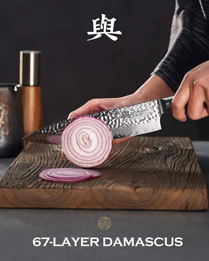 Japanese Chef Knife, 67-Layer Damascus Steel 8 Inch Kitchen Knife with AUS-10 Core, Professional Hand Forged Gyuto Knife with Gift Box, Ergonomic Handle, Ideal Valentine's Day Gifts for Men Women