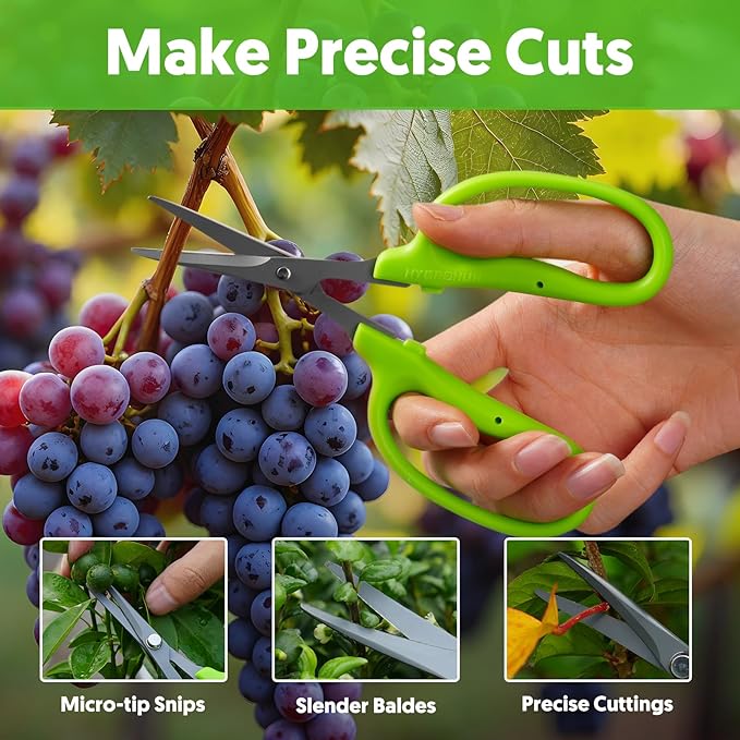 Garden Scissors, 2 PCS, 6-in, Non-Stick Coated Steel, Straight Blades | Sharp Pruning Shear, Gardening Tools, Garden Snips for Plants, Herbs, Flowers in Grow Tent and Hydroponics, Easy to Clean