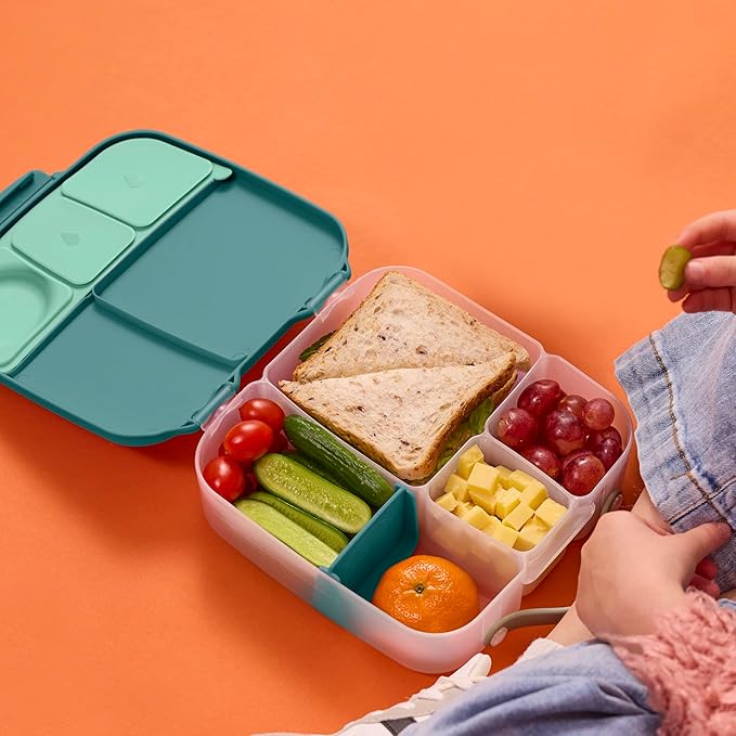 b.box Lunch Box, 8.5 Cup Bento Box for All Ages, Snack Box, Food Containers | Lunch Box Kids + Adults, Lunch Containers, 4 Compartments, Leak Proof, Dishwasher Safe, BPA Free, PFAS Free — Emerald Forest