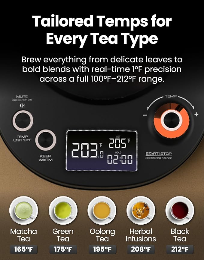 Viante Electric Gooseneck Kettle 0.8L, Pour Over Coffee & Tea, Temp Control | Boil-dry protection, keep-warm function, BPA-free stainless steel body. Includes #2 coffee filters