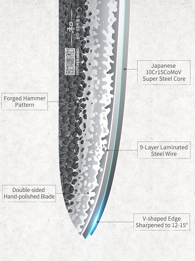 HOSHANHO 8 Inch Gyuto Chef Knife, Ultra Sharp Japanese Kitchen Knife | 9 Layers 10Cr15MoV High Carbon Steel Kitchen Knives, Professional Hand Forged Cooking Knife with Ergonomic Rosewood Handle
