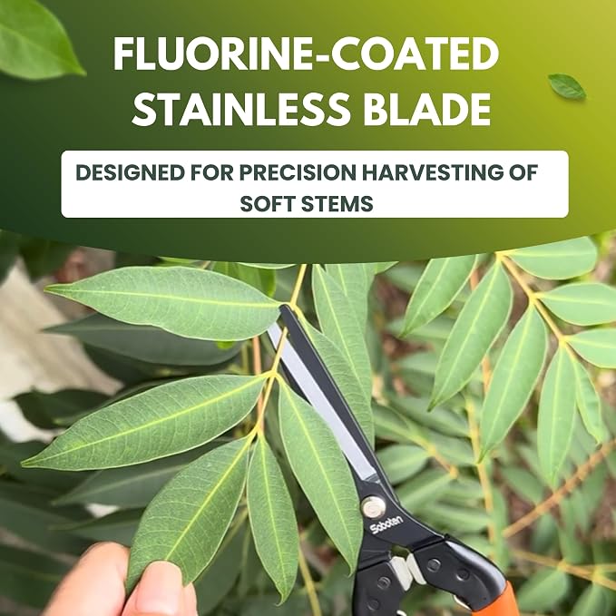 Saboten 7.9" Professional Japanese Harvesting Shears – Straight Blade, Stainless Steel with Fluorine Coating, Spring-Loaded, Ergonomic Grip – forest Originals, Made in Japan