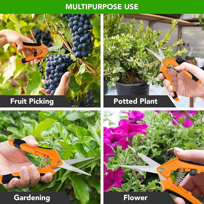 iPower 6.5 Inch Gardening Scissors Hand Pruner Pruning Shear with Straight Stainless Steel Blades, Orange, 4-Pack