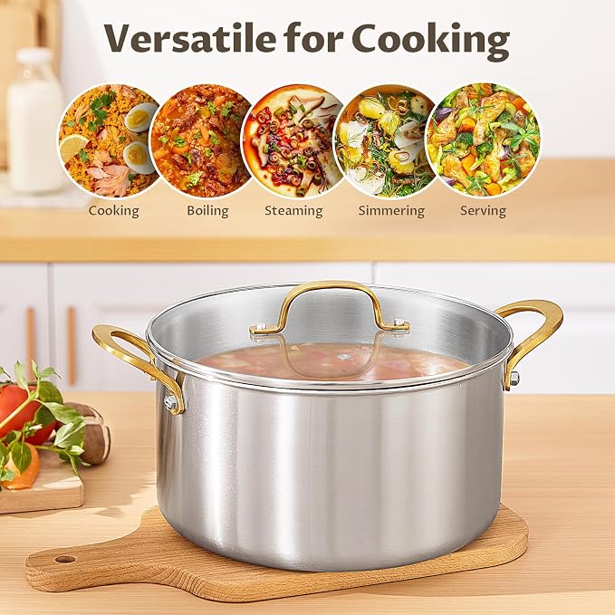 BEZIA 6 QT Stock Pot with Lid, Full Clad 3-Ply Stainless Steel Cooking Pot | Uncoated & Built to Last Induction Pot, for All Stovetops, for Daily Soups & Curries, Blanching & Boiling, Pasta & Dumplings