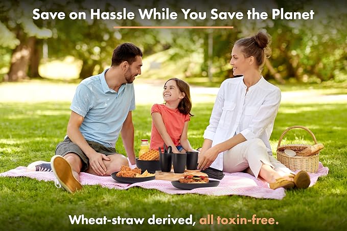 FOODLE Wheat Straw Dinnerware Set - RV, Camping, Picnic Plates Cups & Bowls | BPA-Free & Safety Tested - Microwave & Dishwasher Safe - Lightweight & Unbreakable Dishes - Great for Kids & Adults - For 4