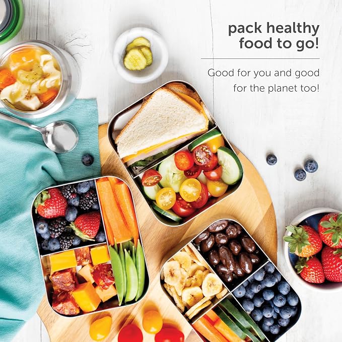 LunchBots Small Stainless Steel Kids Bento Box 4-Section 16oz