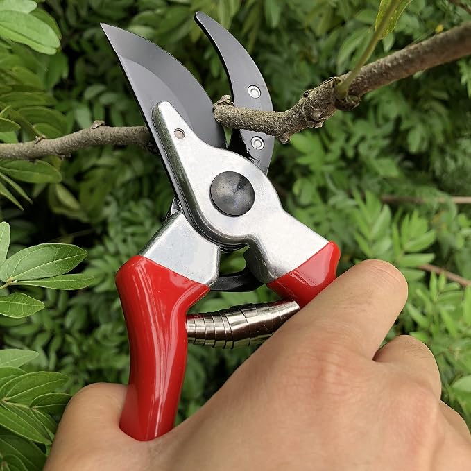 gonicc 8" Professional Sharp Bypass Pruning Shears (GPPS-1002) | Arthritis Friendly Garden Scissors & Plant Clippers, Sap Groove Design, Effortlessly Prunes 3/4" Branches.