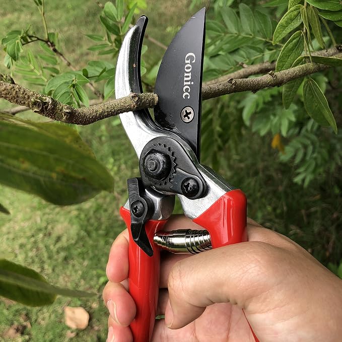 gonicc 8" Professional Sharp Bypass Pruning Shears (GPPS-1002) | Arthritis Friendly Garden Scissors & Plant Clippers, Sap Groove Design, Effortlessly Prunes 3/4" Branches.